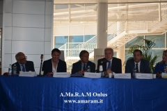 Amaram Onlus 24 maggio 2019 .87