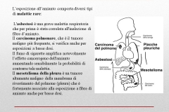 Diapositiva7
