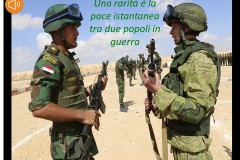 1_Diapositiva7